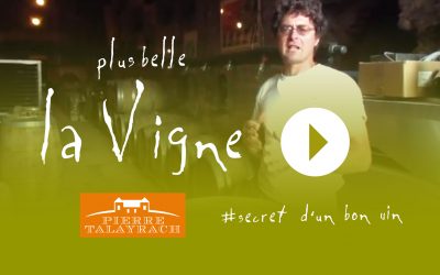 Plus Belle La Vigne #12 : Le Secret d’un Bon Vin